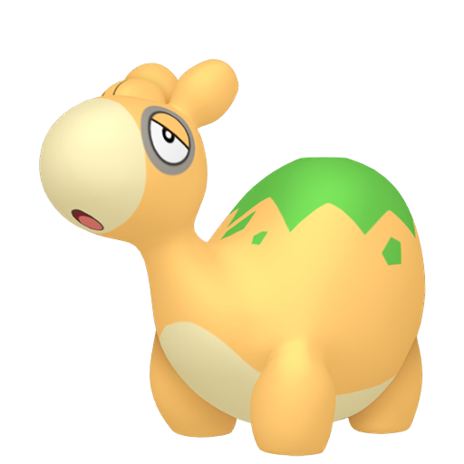 Female Numel