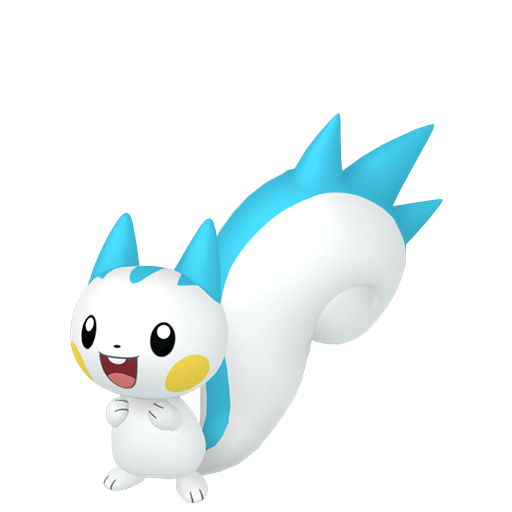 Female Pachirisu