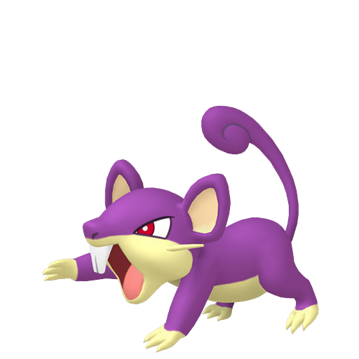 Female Rattata