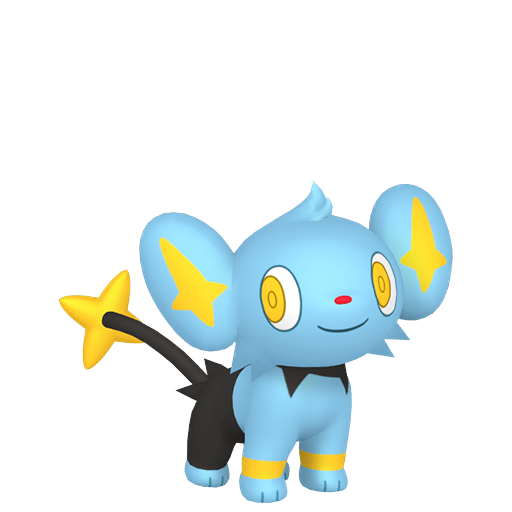Female Shinx