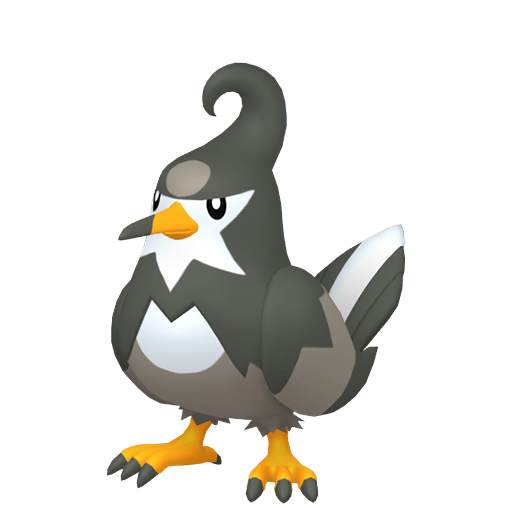 Female Staravia
