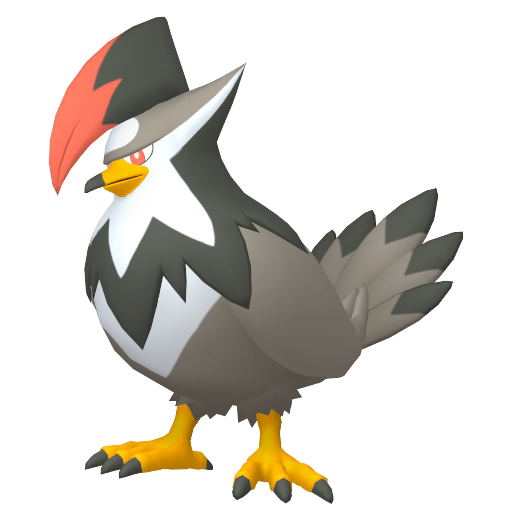 Female Staraptor