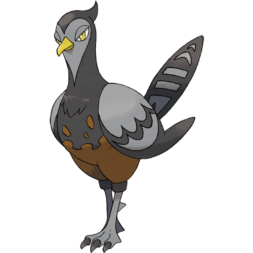 Female Unfezant