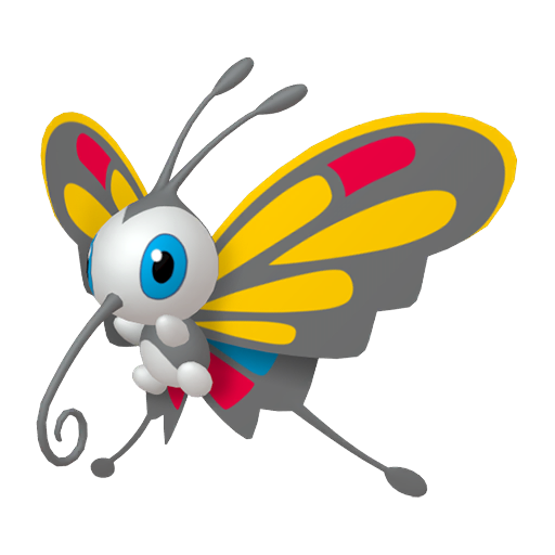 Male Beautifly