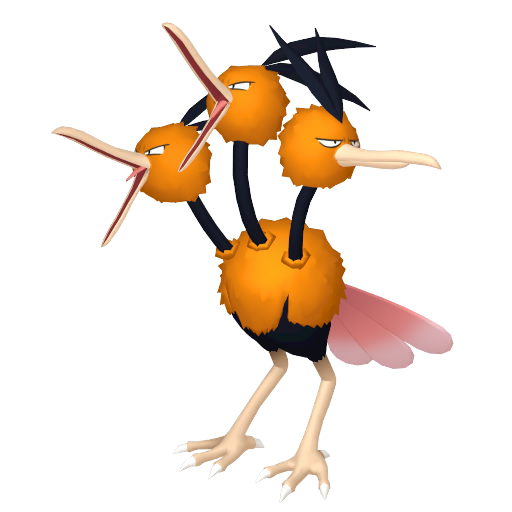Male Dodrio