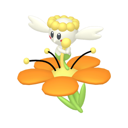 Orange Flower