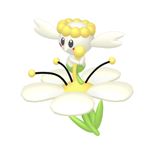 White Flower