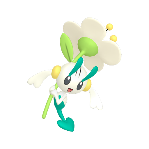 White Flower