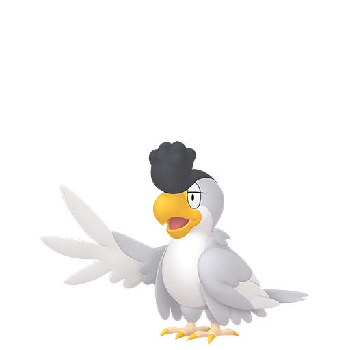 White Plumage